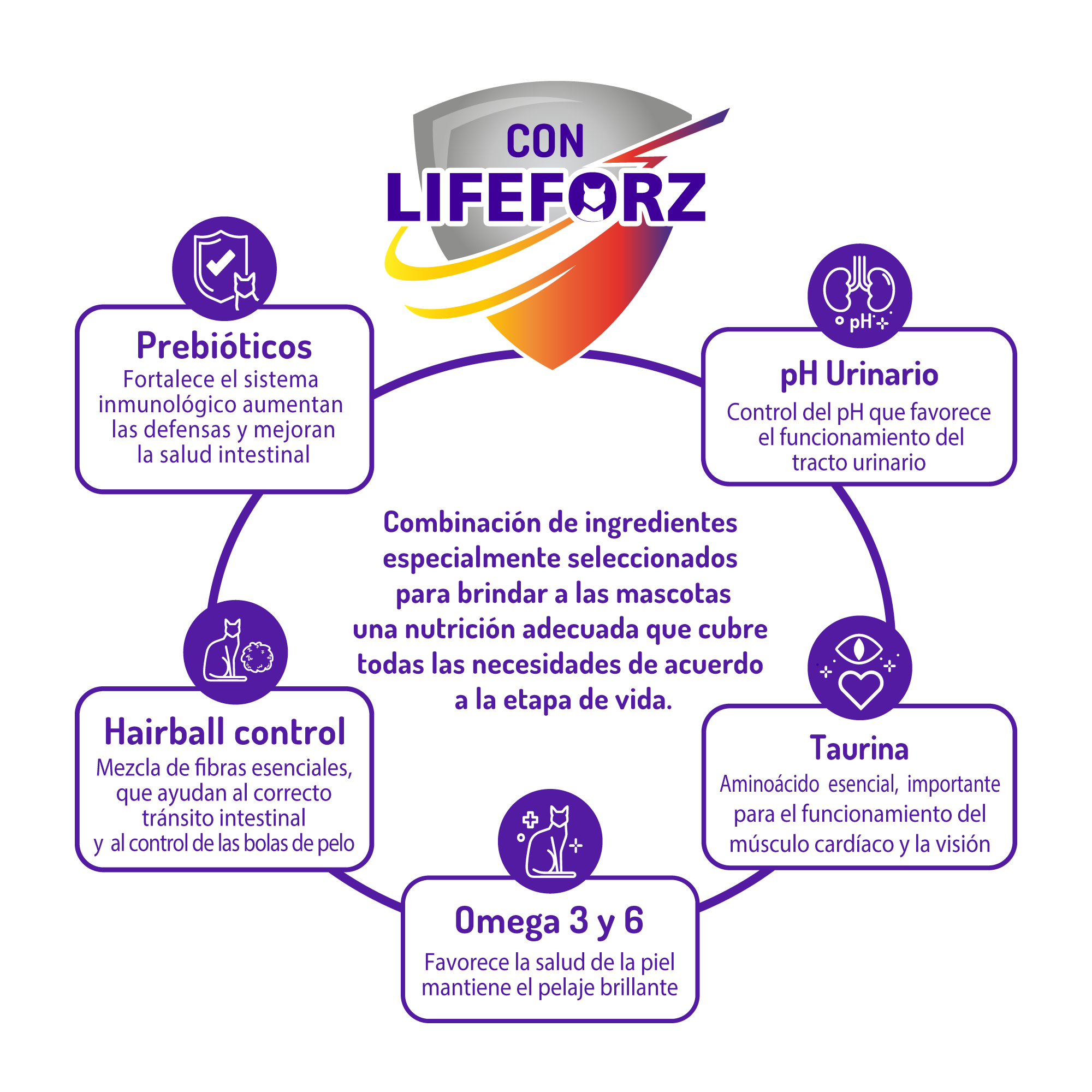 lifeforz