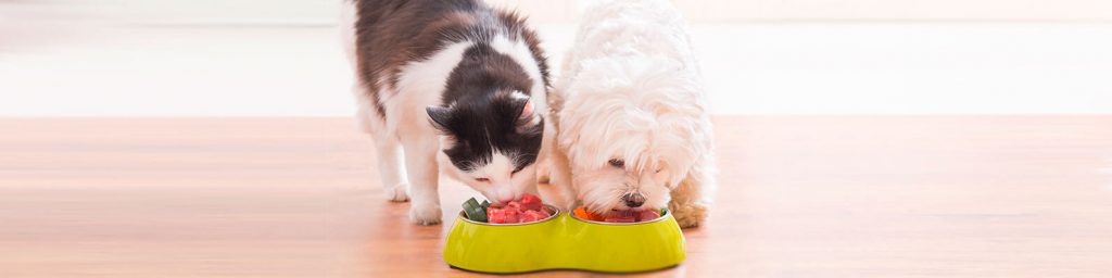 Escoger el alimento para mascota indicado, es fundamental para garantizar la buena nutrición de tu perro o gato.