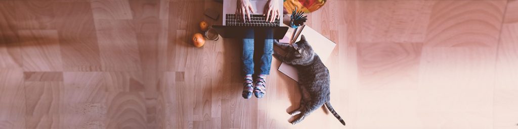 Las compras en línea dominan las alternativas durante la época de cuarentena, permitiéndote encontrar todo lo que tu mascota necesita para su bienestar.
