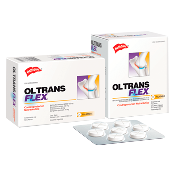 OLS trans flex 21 comp.