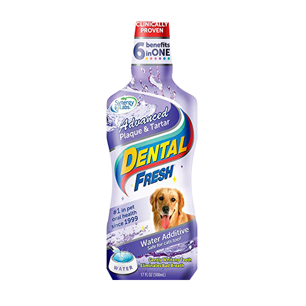 Dental Fresh Plaque & Tartar 17 oz