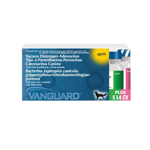 Vanguard Sextuple Caja x 25 unds.