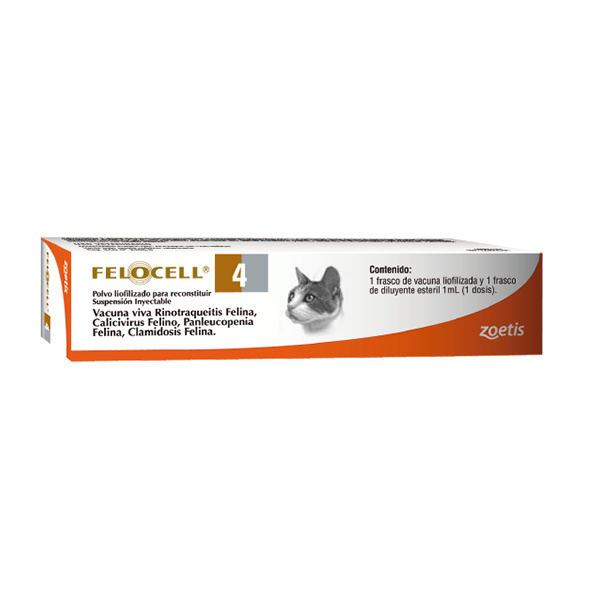 Felocell 4  (1 unidad)