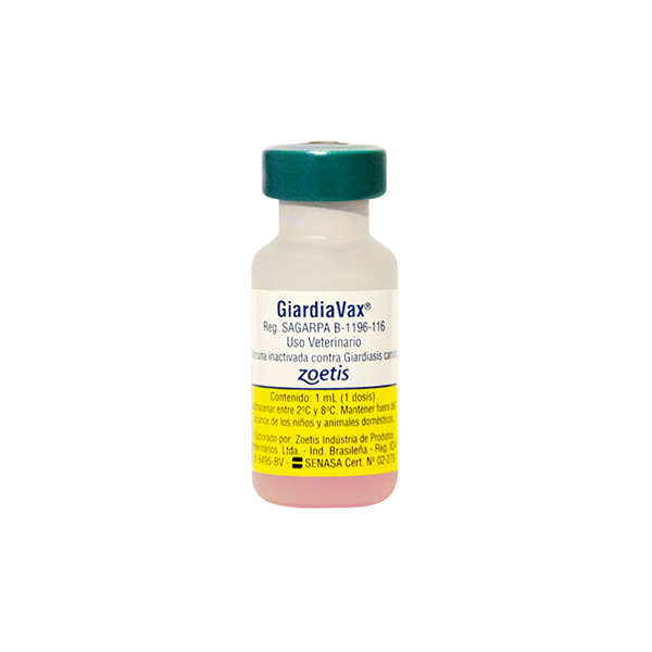 Vanguard giardia 1ds vlx1