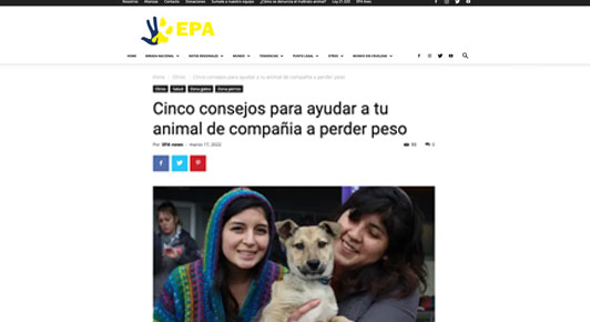 Cinco consejos para ayudar a tus animales a perder peso