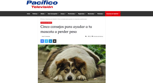 Cinco consejos para ayudar a tus animales a perder peso