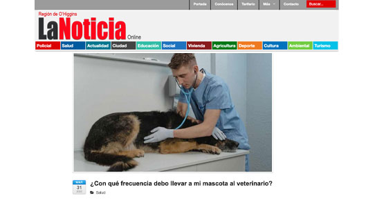 ¿Con qué frecuencia debo llevar a mis animales al veterinario?